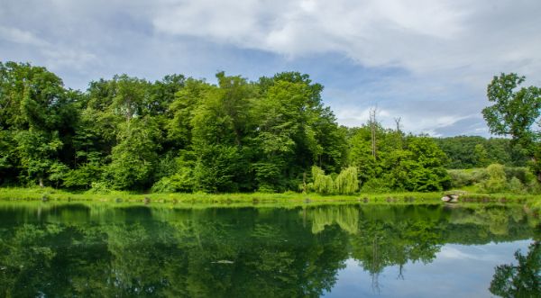 Riserva Naturale Orientata 